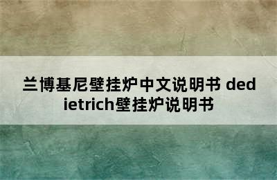 兰博基尼壁挂炉中文说明书 dedietrich壁挂炉说明书